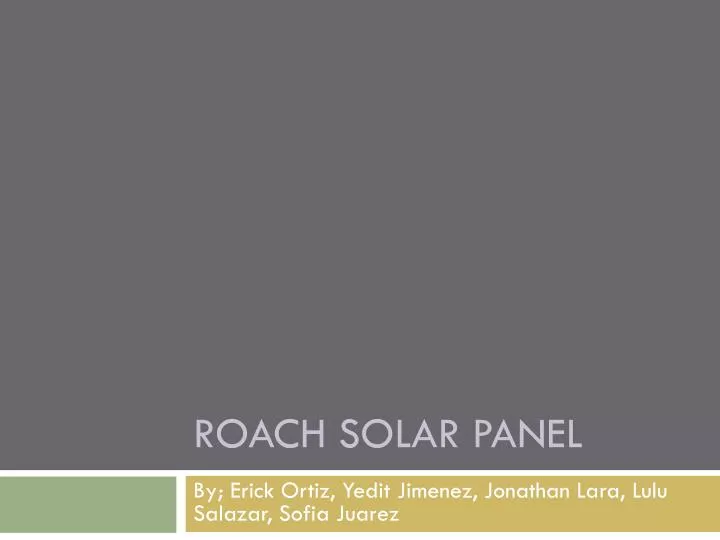 roach solar panel