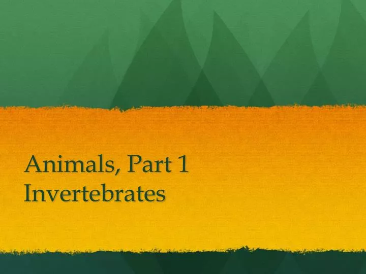 animals part 1 invertebrates