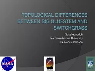 Topological Differences Between Big bluestem and Switchgrass