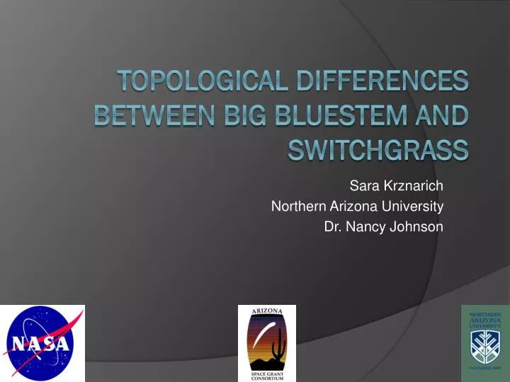 sara krznarich northern arizona university dr nancy johnson