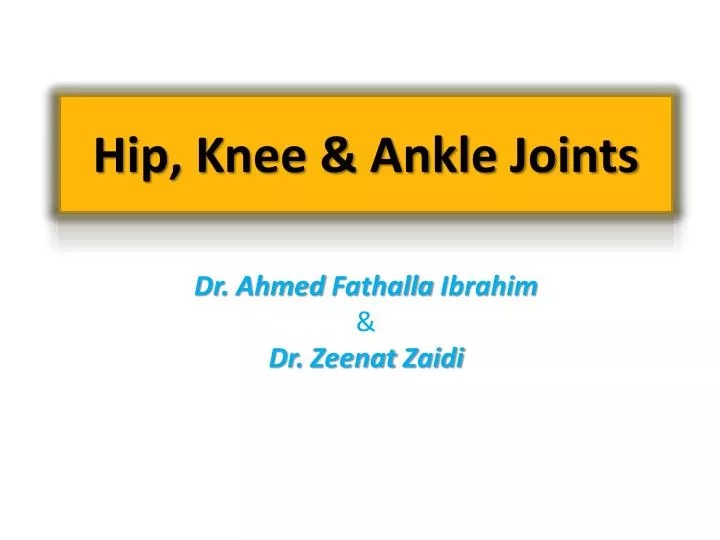 hip knee ankle joints