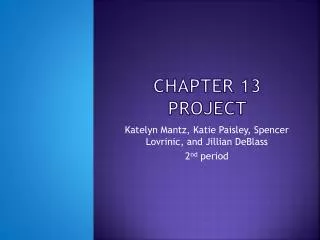 Chapter 13 project