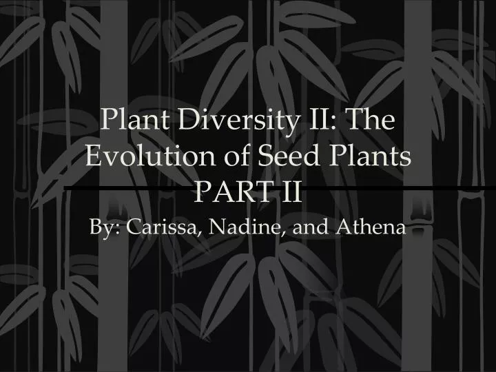 plant diversity ii the evolution of seed plants part ii