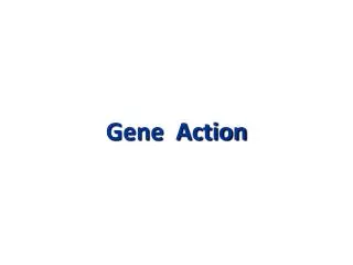 Gene Action