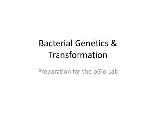 Bacterial Genetics &amp; Transformation