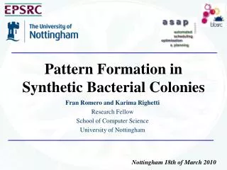 Pattern Formation in Synthetic Bacterial Colonies