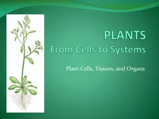 PLANTS From Cells to Systems