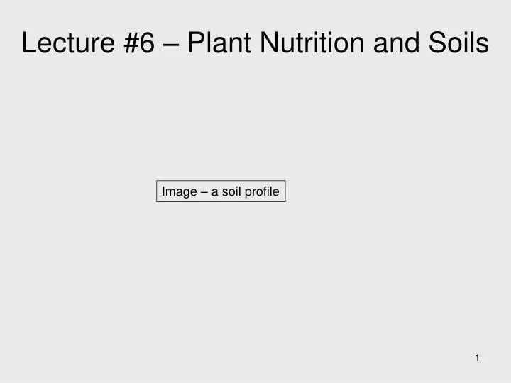 lecture 6 plant nutrition and soils