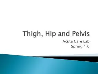 Thigh, Hip and Pelvis