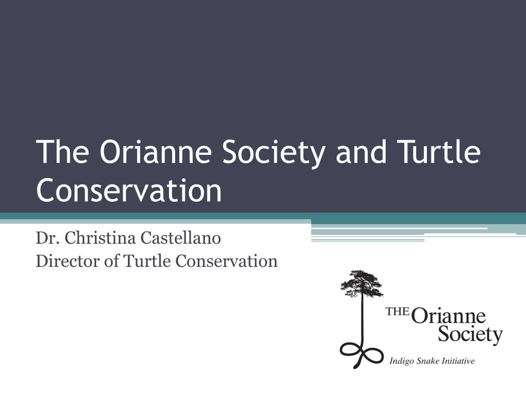 PPT - The Orianne Society and Turtle Conservation PowerPoint ...