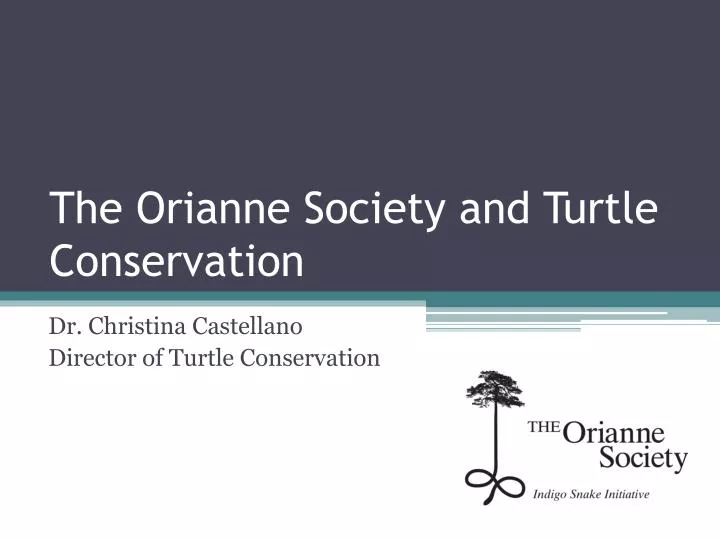 the orianne society and turtle conservation