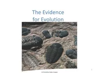 The Evidence for Evolution