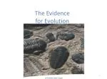 The Evidence for Evolution - slide 1