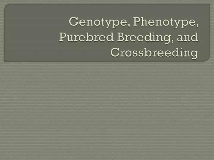 genotype phenotype purebred breeding and crossbreeding