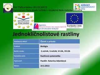 jednokl nolistov rastliny