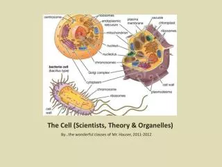 The Cell (Scientists , Theory &amp; Organelles)