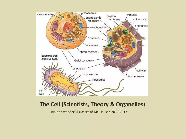 the cell scientists theory organelles