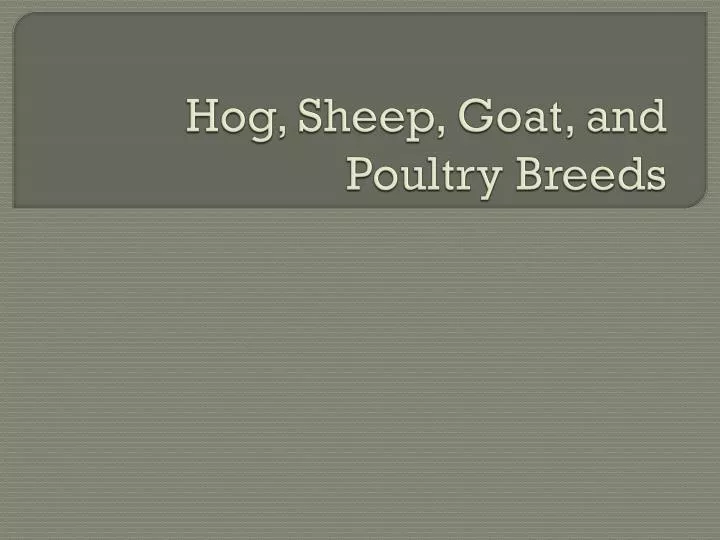 hog sheep goat and poultry breeds