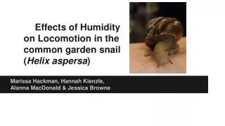 Effects of Humidity on Locomotion in the common garden snail ( Helix aspersa )