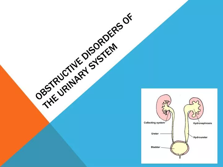 obstructive disorders of the urinary system