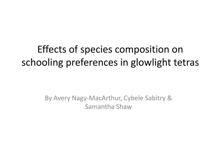 effects of species composition on schooling preferences in glowlight tetras