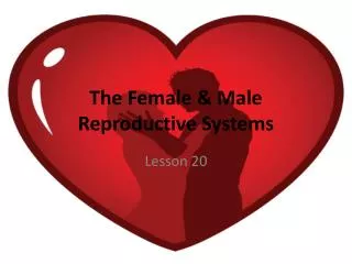 The Female &amp; Male Reproductive Systems