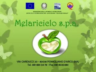 melariciclo s p a
