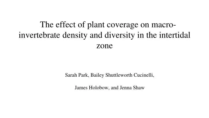 the effect of plant coverage on macro invertebrate density and diversity in the intertidal zone