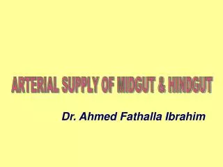 ARTERIAL SUPPLY OF MIDGUT &amp; HINDGUT