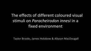 The effects of different coloured visual stimuli on Paracheirodon innesi in a fixed environment