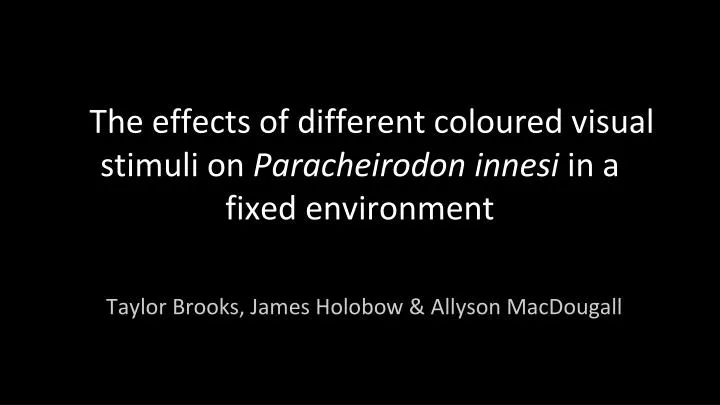 the effects of different coloured visual stimuli on paracheirodon innesi in a fixed environment