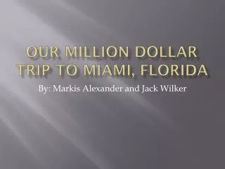 Our Million Dollar Trip To Miami, Florida