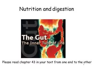 Nutrition and digestion
