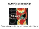 Nutrition and digestion