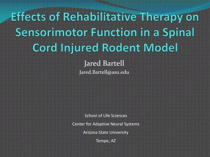 effects of rehabilitative therapy on sensorimotor function in a spinal cord injured rodent model
