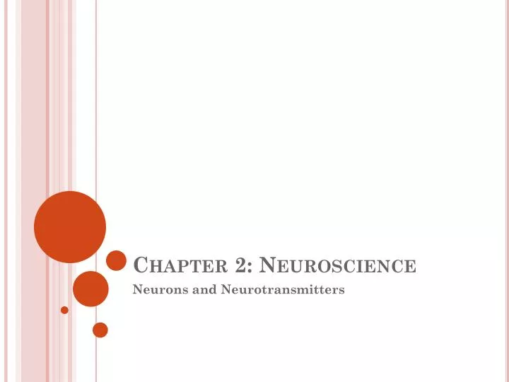 chapter 2 neuroscience