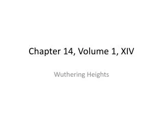 Chapter 14, Volume 1, XIV