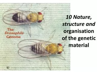 10 Nature, structure and organisation of the genetic material