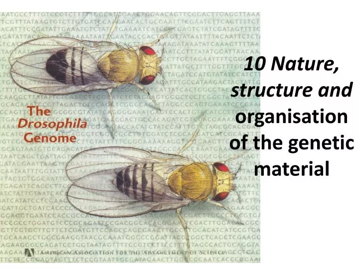 10 nature structure and organisation of the genetic material