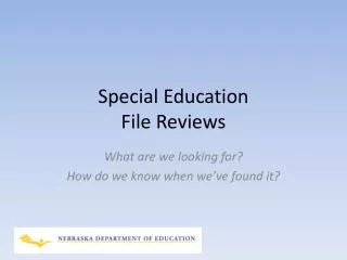 Special Education File Reviews
