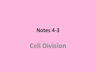 notes 4 3