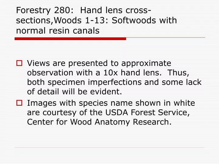 forestry 280 hand lens cross sections woods 1 13 softwoods with normal resin canals