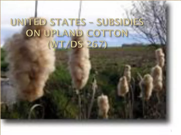 united states subsidies on upland cotton wt ds 267