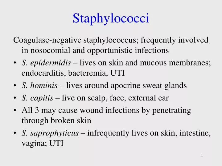 staphylococci