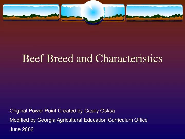 beef breed and characteristics