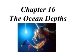 Chapter 16 The Ocean Depths