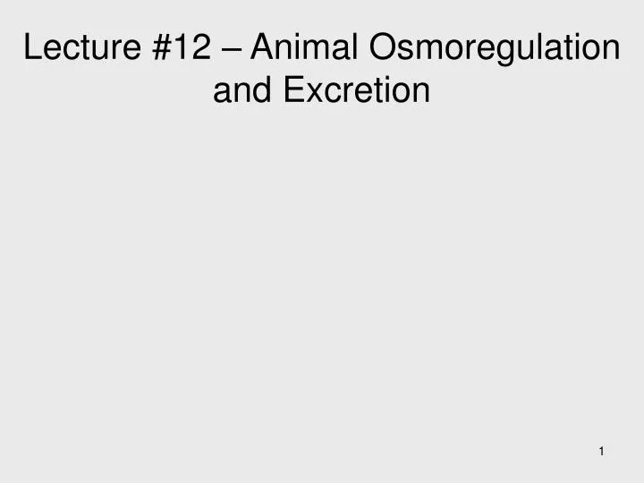 lecture 12 animal osmoregulation and excretion