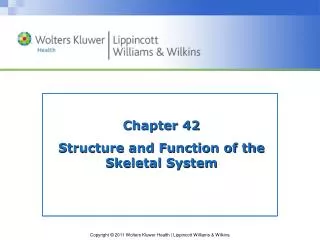 Chapter 42 Structure and Function of the Skeletal System