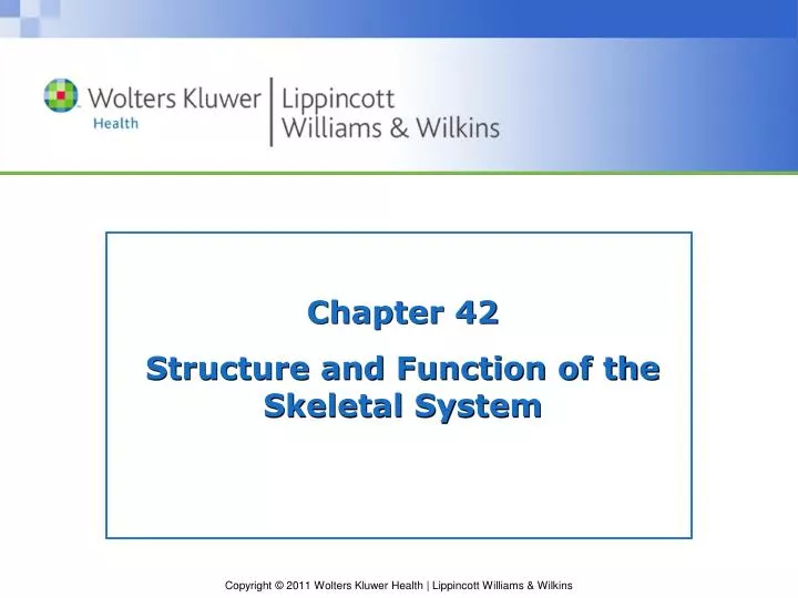 chapter 42 structure and function of the skeletal system