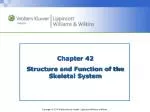 Chapter 42 Structure and Function of the Skeletal System - slide 1